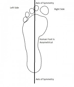 human_foot_assymetry